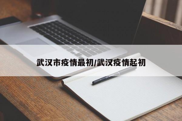 武汉市疫情最初/武汉疫情起初
