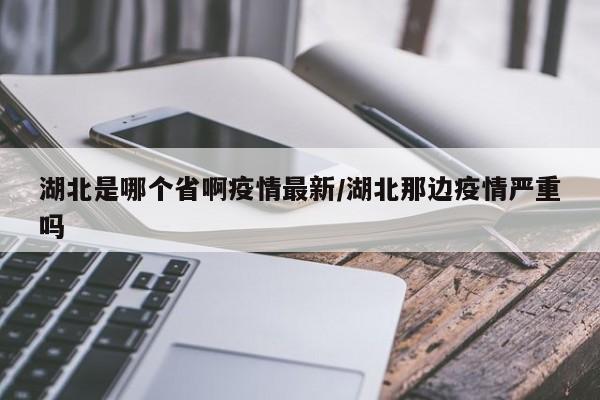 湖北是哪个省啊疫情最新/湖北那边疫情严重吗