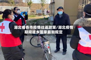 湖北省各市疫情往返政策/湖北疫情期间返乡国家最新规定