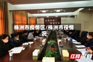 株洲市疫情区/株洲市役情况