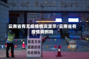 云南省有无疫情情况显示/云南省有疫情病例吗
