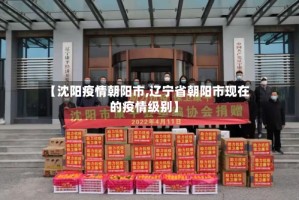 【沈阳疫情朝阳市,辽宁省朝阳市现在的疫情级别】