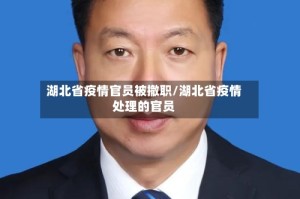 湖北省疫情官员被撤职/湖北省疫情处理的官员
