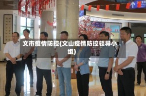 文市疫情防控(文山疫情防控领导小组)