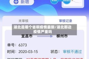 湖北是哪个省啊疫情最新/湖北那边疫情严重吗