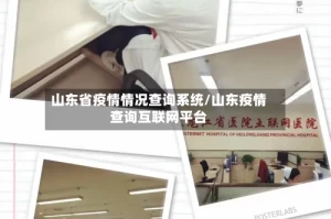 山东省疫情情况查询系统/山东疫情查询互联网平台
