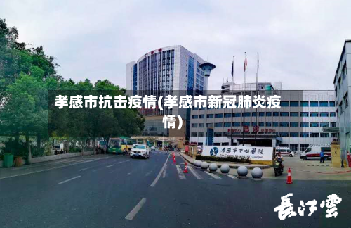 孝感市抗击疫情(孝感市新冠肺炎疫情)-第1张图片