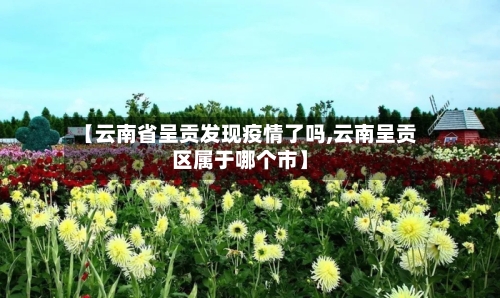 【云南省呈贡发现疫情了吗,云南呈贡区属于哪个市】-第2张图片