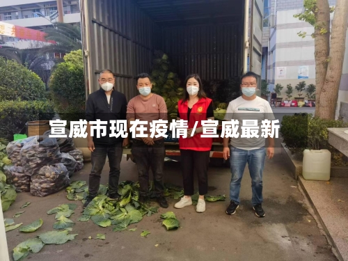 宣威市现在疫情/宣威最新-第2张图片