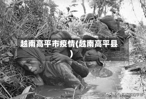 越南高平市疫情(越南高平县)-第1张图片