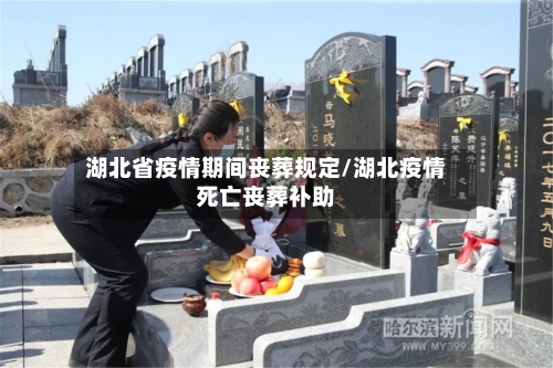 湖北省疫情期间丧葬规定/湖北疫情死亡丧葬补助-第2张图片