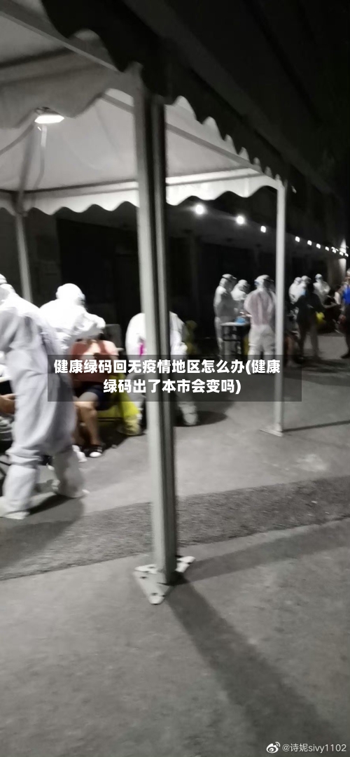 健康绿码回无疫情地区怎么办(健康绿码出了本市会变吗)-第3张图片