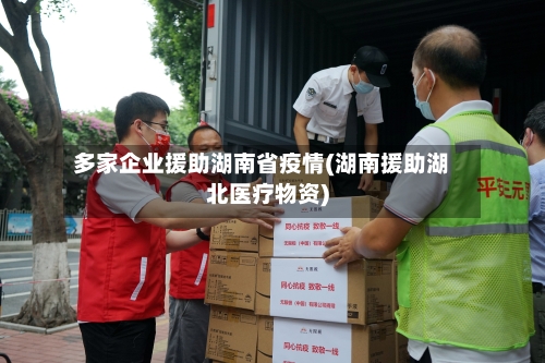 多家企业援助湖南省疫情(湖南援助湖北医疗物资)-第1张图片