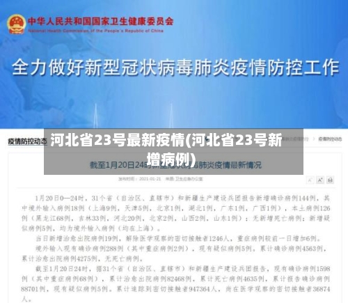 河北省23号最新疫情(河北省23号新增病例)-第3张图片