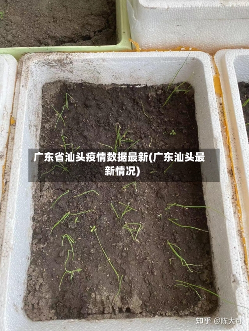 广东省汕头疫情数据最新(广东汕头最新情况)-第1张图片