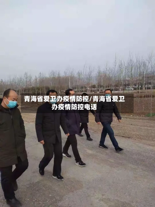 青海省爱卫办疫情防控/青海省爱卫办疫情防控电话-第2张图片