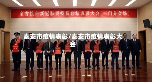 泰安市疫情表彰/泰安市疫情表彰大会-第2张图片