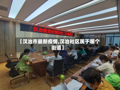 【汉冶市最新疫情,汉冶社区属于哪个街道】-第1张图片