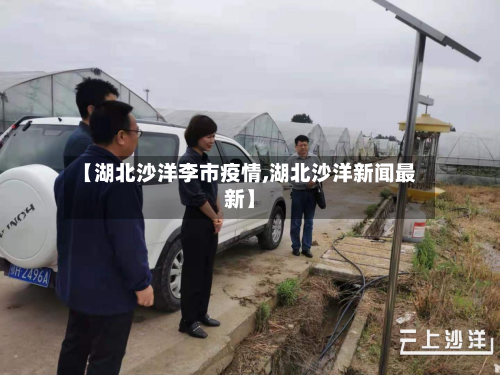 【湖北沙洋李市疫情,湖北沙洋新闻最新】-第3张图片