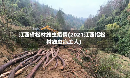 江西省松材线虫疫情(2021江西招松材线虫病工人)-第1张图片