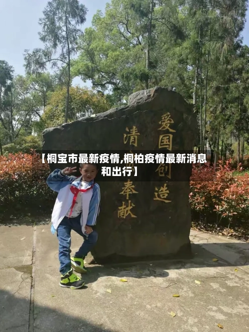 【桐宝市最新疫情,桐柏疫情最新消息和出行】-第1张图片