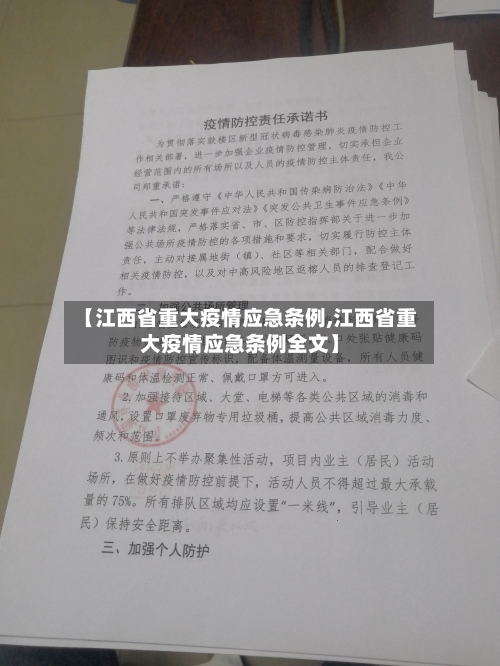 【江西省重大疫情应急条例,江西省重大疫情应急条例全文】-第2张图片