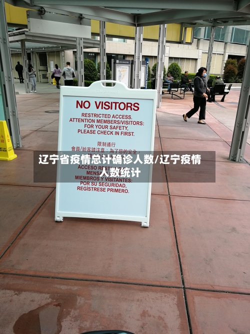 辽宁省疫情总计确诊人数/辽宁疫情人数统计-第2张图片