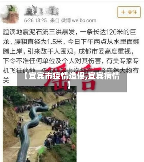【宜宾市疫情造谣,宜宾病情】-第2张图片